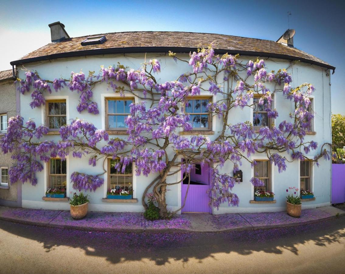 Deerpark Cottage, Inistioge, Kilkenny Exteriér fotografie